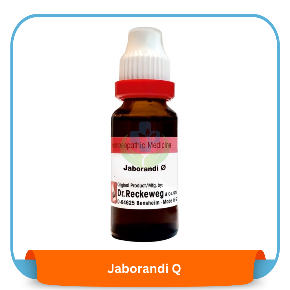 Jaborandi Q 20 ml | Dr. Reckeweg, Germany
