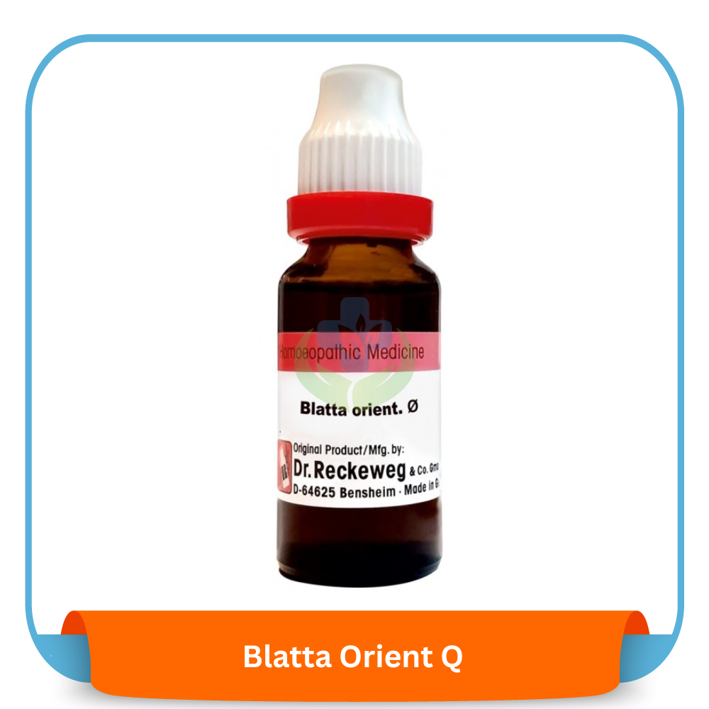 Blatta Orient Q 20 ml | Dr. Reckeweg, Germany